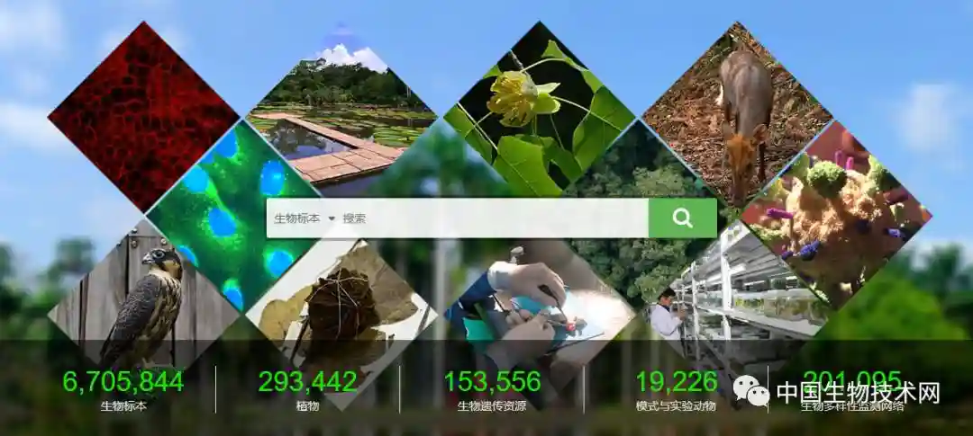 超700万份生物资源数据“金矿”等你挖：中国科学院生物资源目录发布