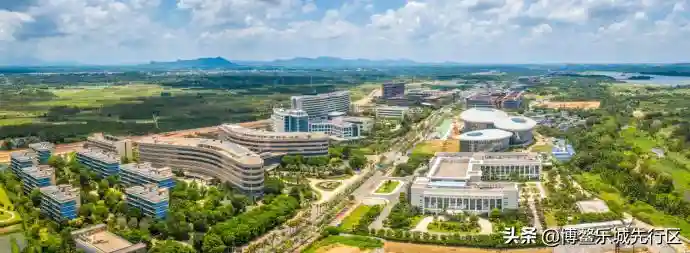 因这12点，从此有望大病不出国