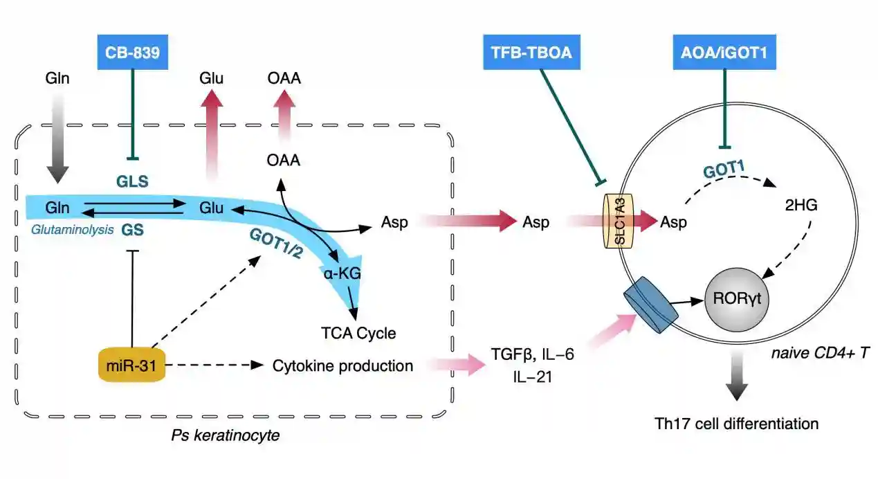 中医成果欧洲发表！广东中医专家又出新成果