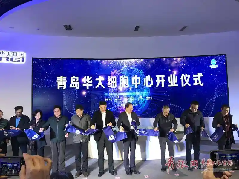 青岛华大细胞中心项目开业 将建辐射华北地区的细胞资源库