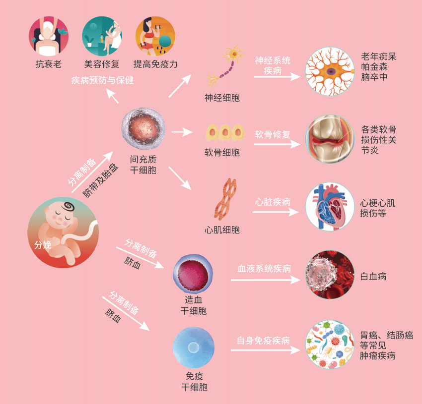 遇上乳腺癌怎么办？这份诊疗攻略你一定要看