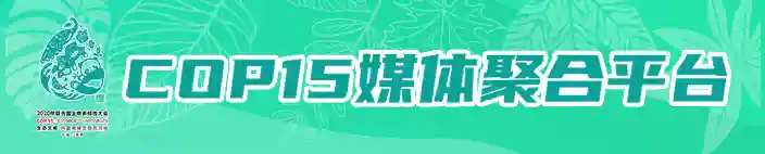 COP15遇见昆明｜做大做强细胞产业 打造西南地区生命科学产业新高地