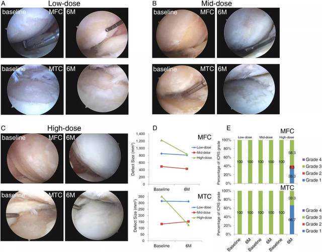 脑科学日报：利用柔性自驱动设备实现对神经可塑性的双向调节