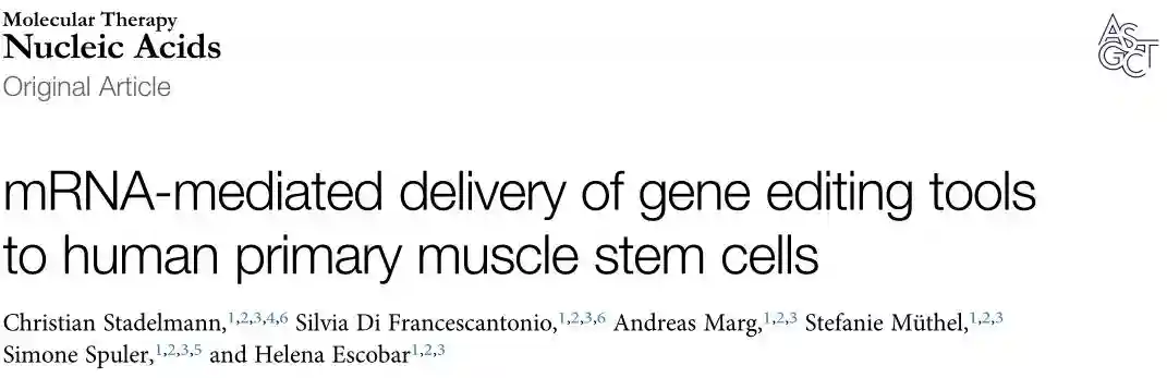 基因编辑的肌肉干细胞应用于临床治疗肌肉疾病的一种有前途的方法
