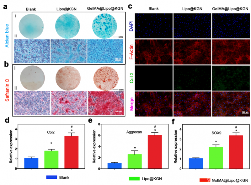 世界首个人工合成的生命，改写基因的上帝之手