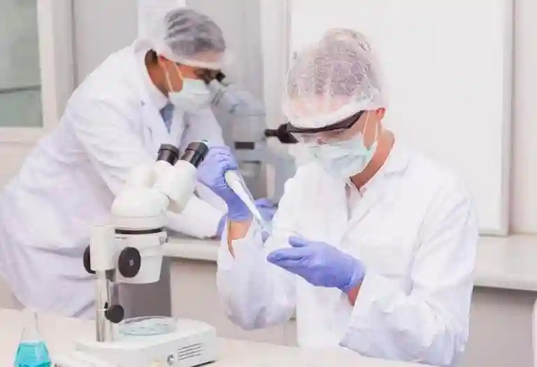 新的生育方式：实验室制作孵卵