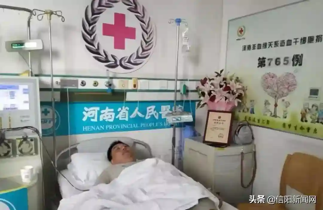 为生命续航！罗山这位医生捐献造血干细胞