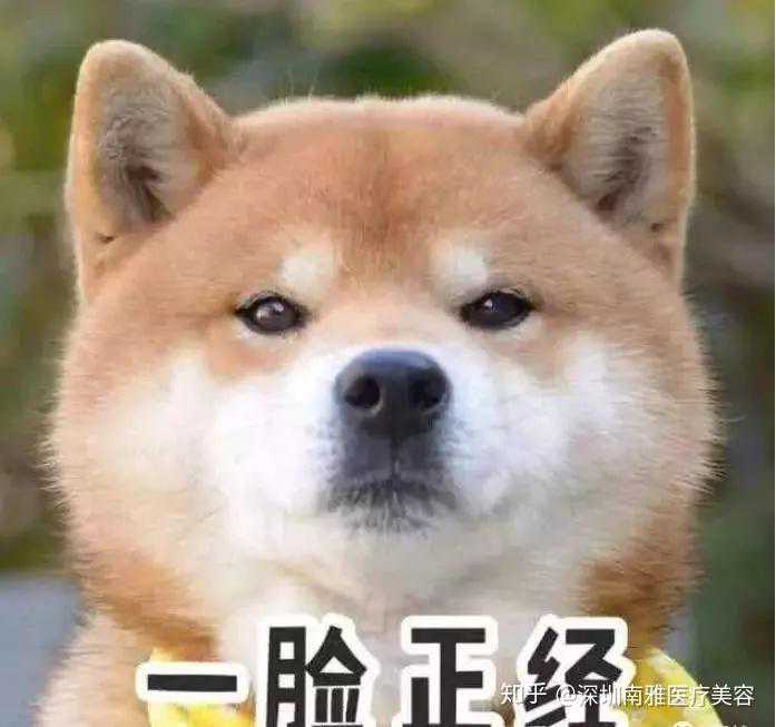 “抗癌新星”——NK细胞疗法强势加盟胃癌一线治疗方案