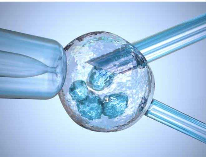 出现乏力没在意，却发展成白血病？早期这四种症状一定要注意