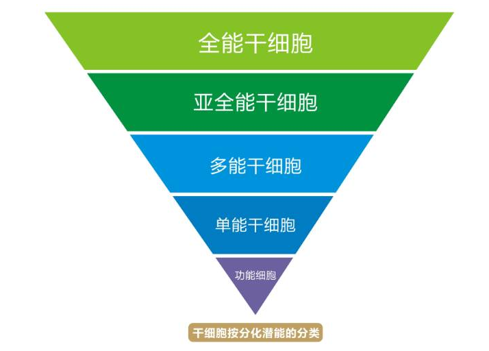 时隔4年 “髓”缘相见 这世间又多了一对手足至亲！