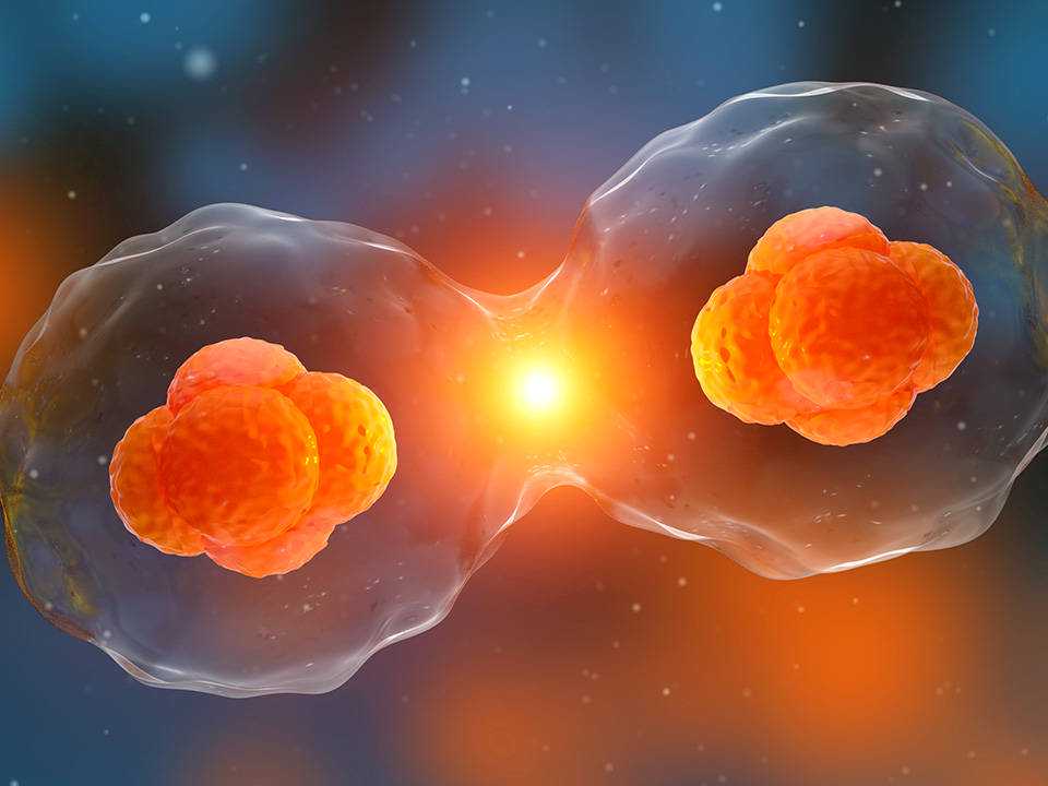 公民道德建设巡礼｜招远打造“美德招远”品牌，让好人好事“天天见”