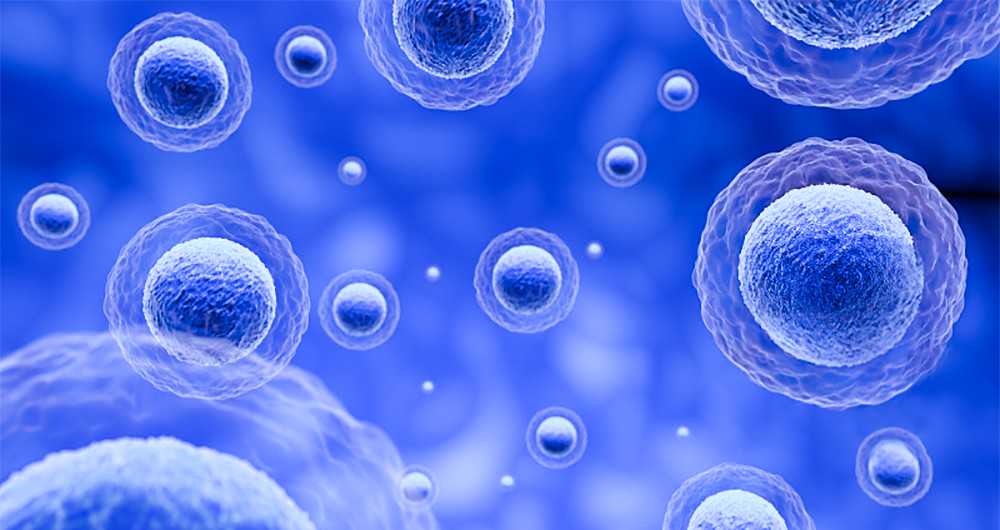 让爱传递 登封市红十字会组织开展无偿献血活动