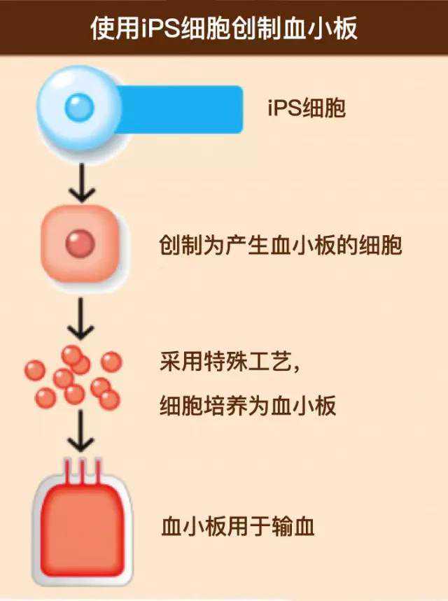 康方生物-B(09926)关于AK104和AK105的最新研究进展将于ESMO2021上发布