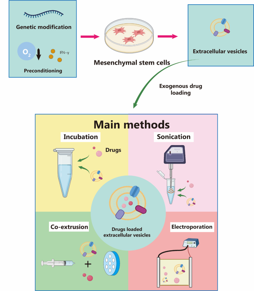 慢性髓细胞性白血病靶向治疗现状和挑战
