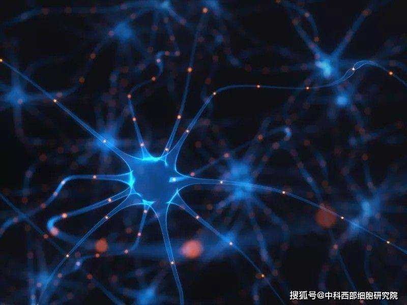 移植仓里面有多干净