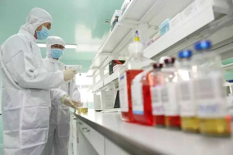 山西证券：给予爱美客买入评级