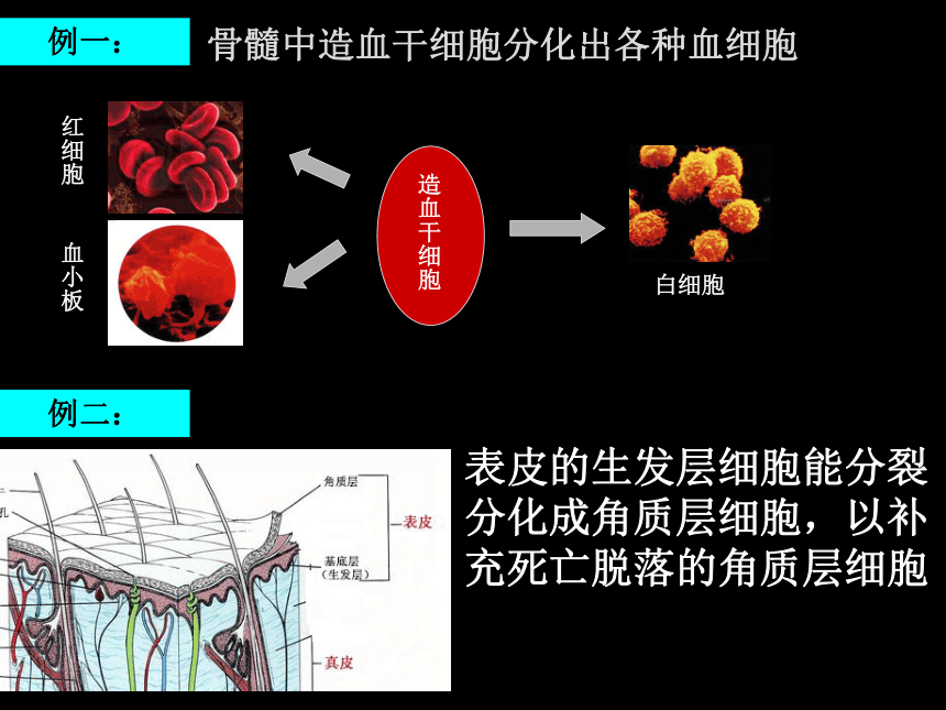 血液病患者要不要打新冠疫苗？专家这么说......