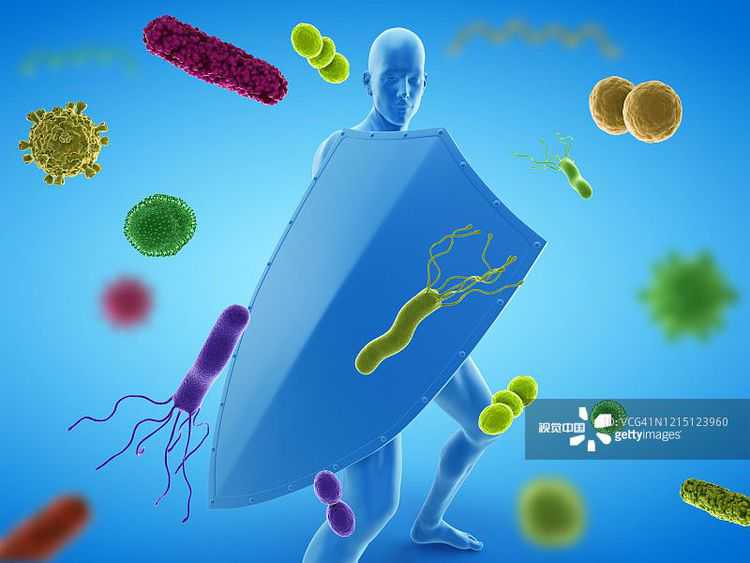 妍梓煊塑就臻品人参面膜