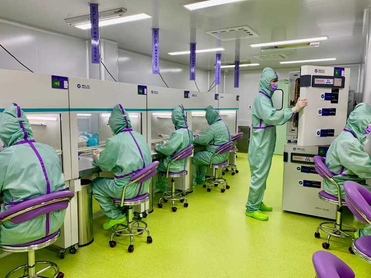 男性生育将成为现实，日本成功完成了两只雄性小鼠的生殖繁衍实验