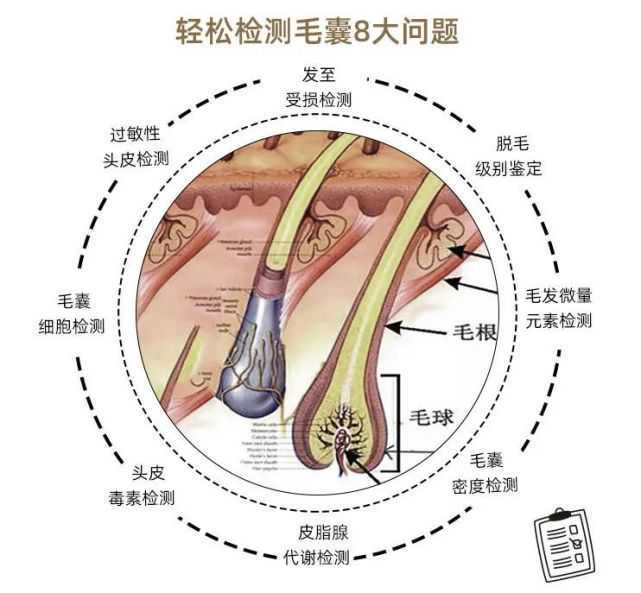 舟商回归注入新活力 2019世界舟山人大会18个项目签约