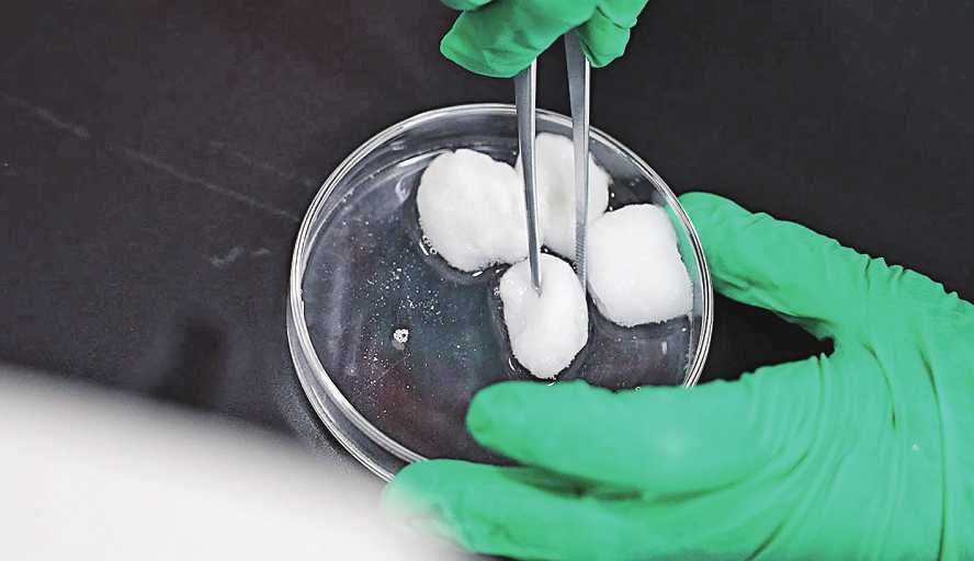 法国婕珞芙代表法国二次参加中国进博会引起轰动