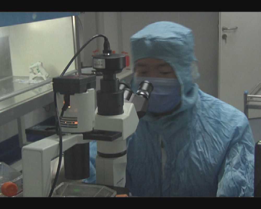 体重管理的微观关键：脂肪组织、肠道菌群与肥胖的关联