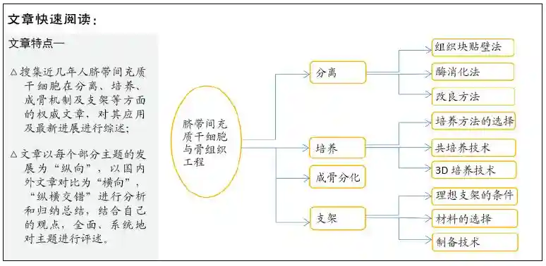 脐带间充质干细胞在骨组织工程中的应用与进展