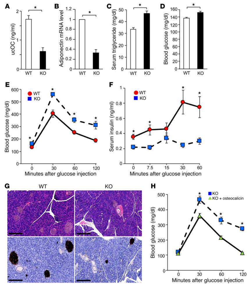 双胞胎肚里打架出生后浑身淤青？产科医生：都不在一个“房间”
