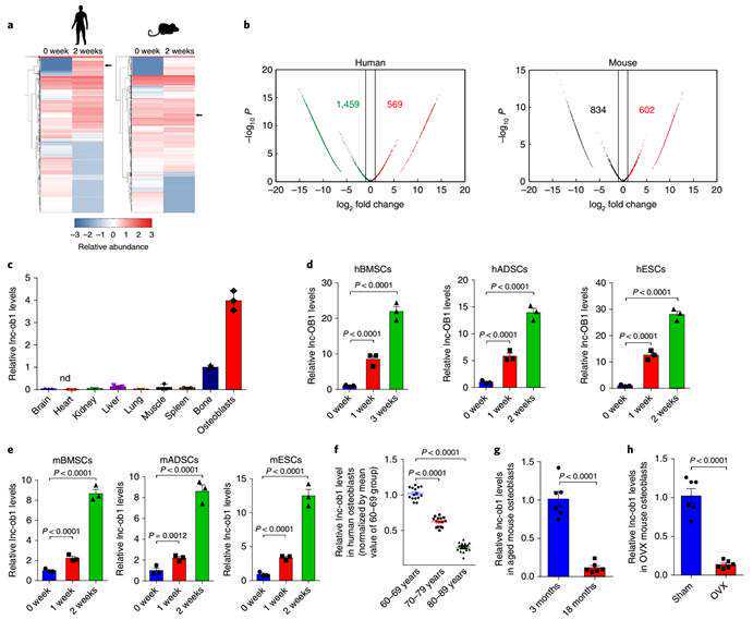 秋冬干燥无光泽？水乳不够面霜来凑，深度渗透巨补水让你脸娇嫩欲滴