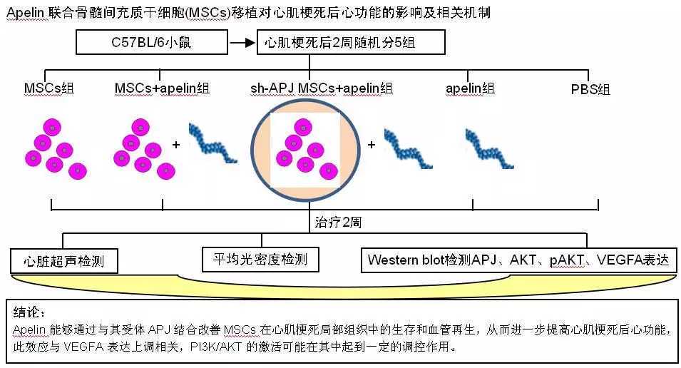 全球首例!外国患者使用华人脐带血移植手术在沪顺利完成