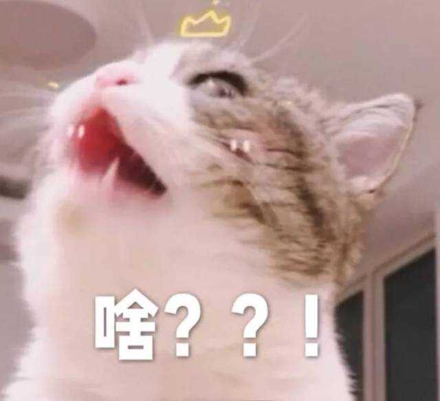 日本科学家将进行“人兽杂交胚胎”实验，到底有什么目的？