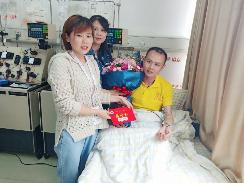 Nature：科学家发现新型干细胞，有望在动物体内培育人体器