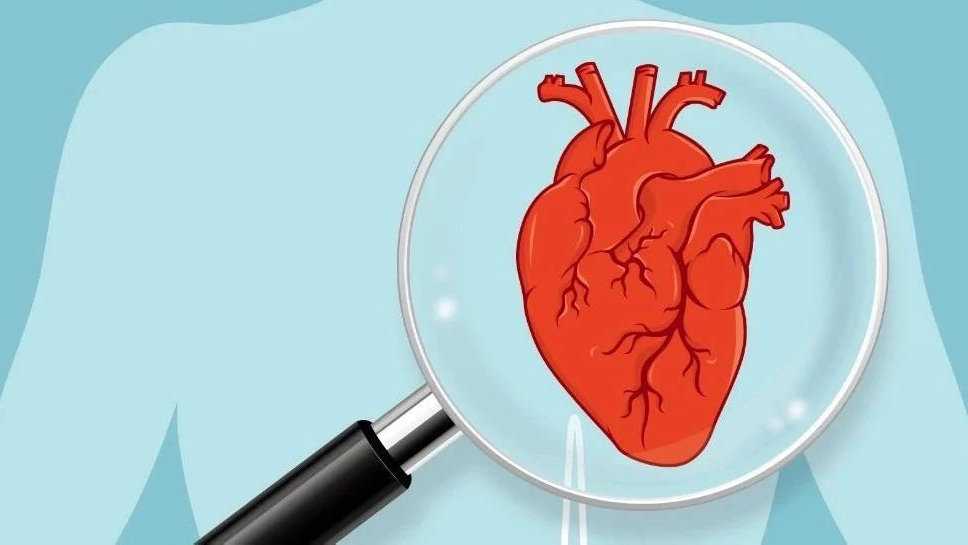 田作林：黑土地上致富路