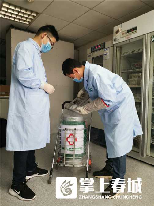 罕见病治疗“独角兽”开启上市倒计时探寻长线持有北海康成-B(01228)的核心逻辑