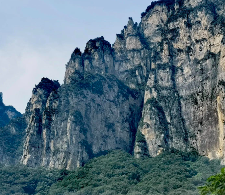 中源协和跌2.96%，该股筹码平均交易成本为19.59元，近期该股获筹码青睐，且集中度渐增