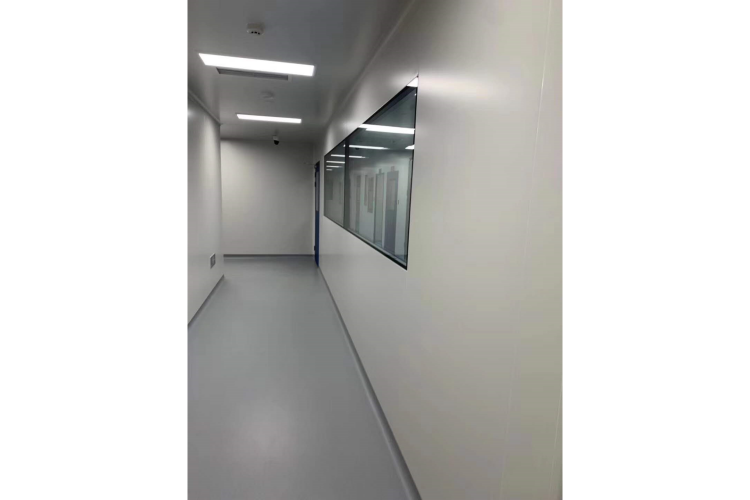 阻击疫情 干细胞能干点什么？