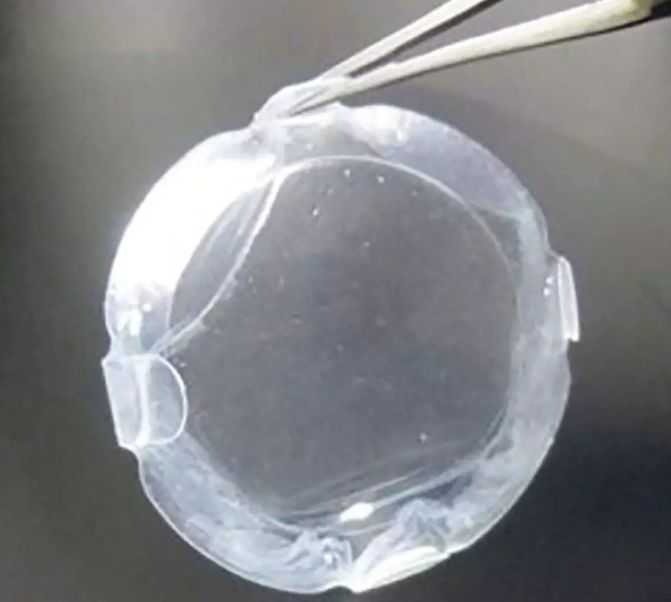 习近平的小康故事丨“关键核心技术是要不来、买不来、讨不来的”——习近平推动科技创新的故事